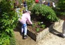« Fête au Jardin Médiéval » dimanche 10 mai 2026, de 14h30 à 16h30