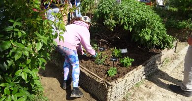 « Fête au Jardin Médiéval » dimanche 10 mai 2026, de 14h30 à 16h30